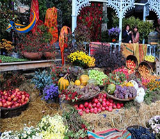 پارک ریکه تفلیس Rike Park